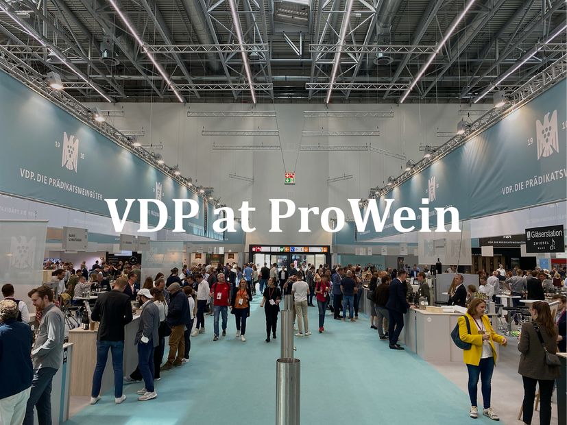 VDP at ProWein Header Website